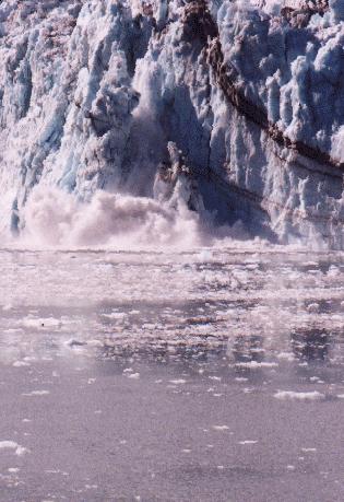 Click to see glacier pictures--including calving