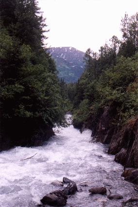 Crow Creek rapids