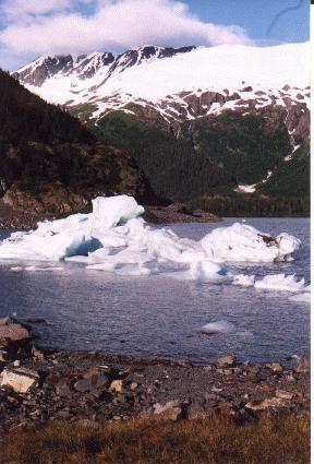 Floating iceberg at glacier park